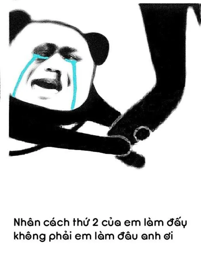 meme gấu trúc dễ thương meme gấu trúc dễ thương