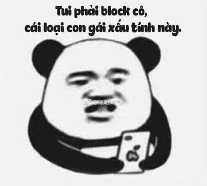 meme gấu trúc khó hiểu meme gấu trúc khó hiểu