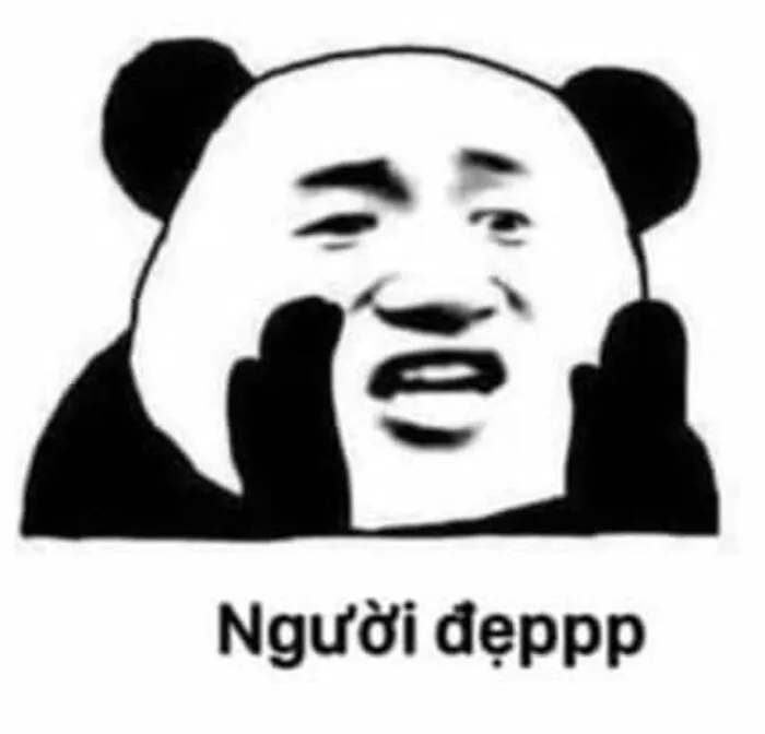 meme gấu trúc khoảnh khắc hài meme gấu trúc khoảnh khắc hài