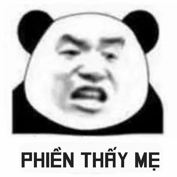 meme gấu trúc mắt tròn meme gấu trúc mắt tròn