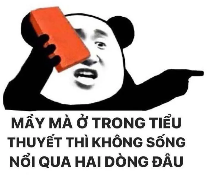 meme gấu trúc ngơ ngác meme gấu trúc ngơ ngác