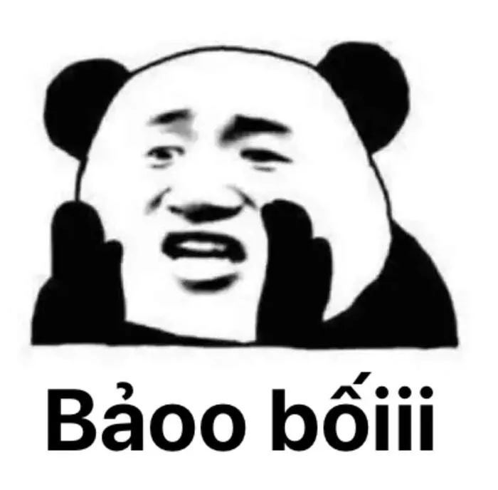 meme gấu trúc ngồi im meme gấu trúc ngồi im