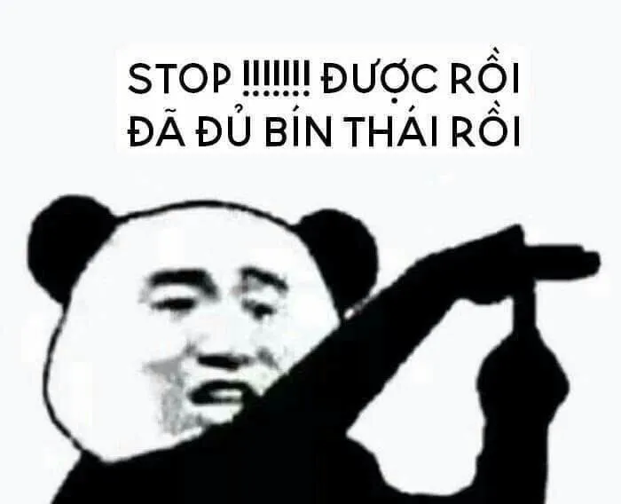 meme gấu trúc nhìn ngạc nhiên meme gấu trúc nhìn ngạc nhiên