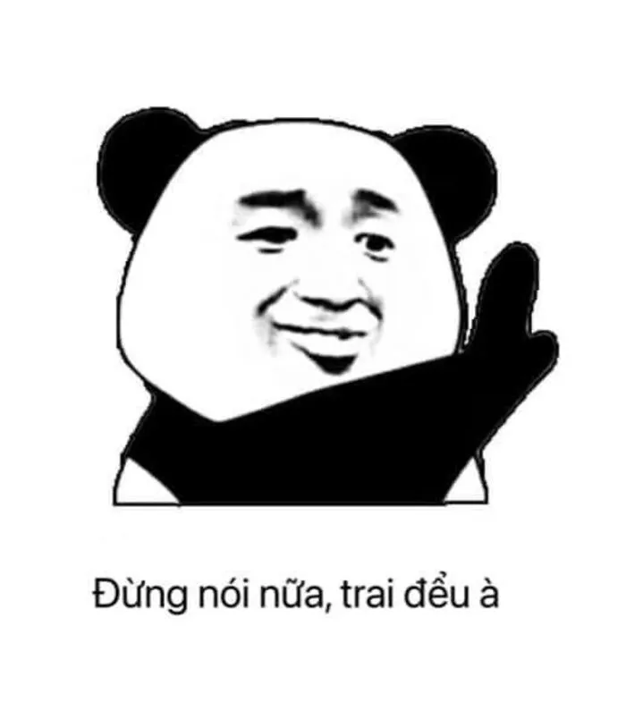 meme gấu trúc phản ứng bất ngờ meme gấu trúc phản ứng bất ngờ
