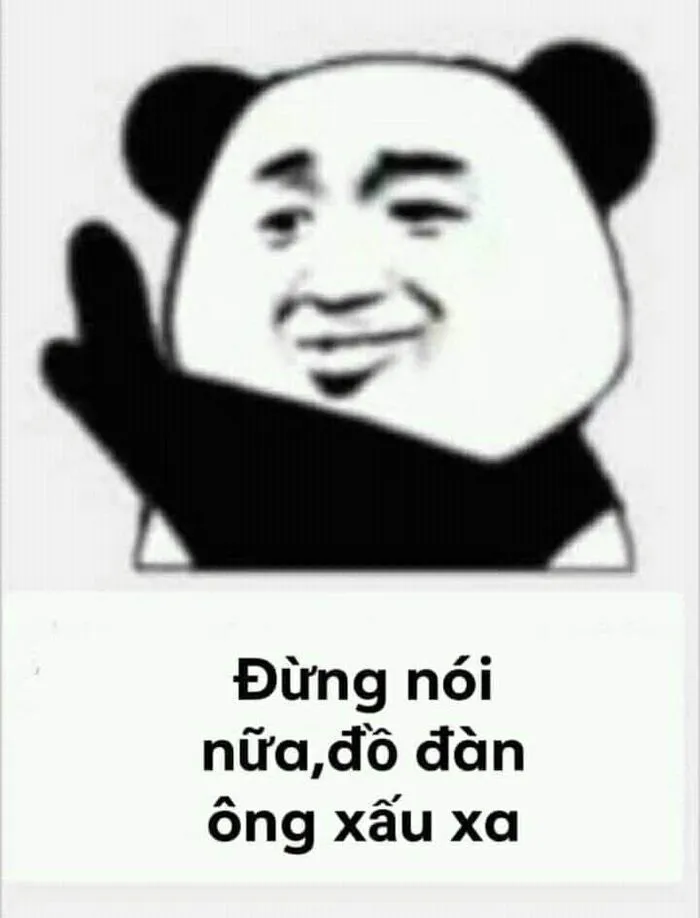 meme gấu trúc phản ứng hài meme gấu trúc phản ứng hài