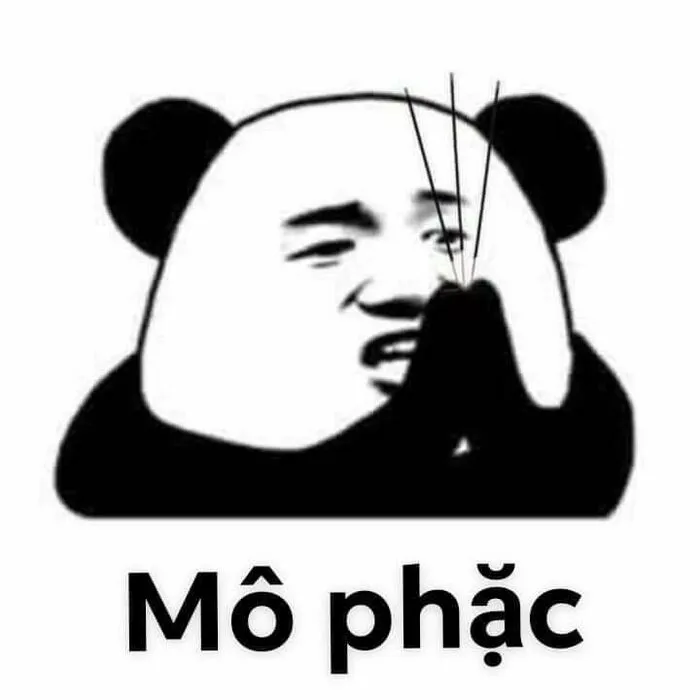 meme gấu trúc phản ứng kỳ lạ cute meme gấu trúc phản ứng kỳ lạ cute