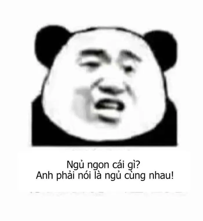 meme gấu trúc phản ứng lầy meme gấu trúc phản ứng lầy