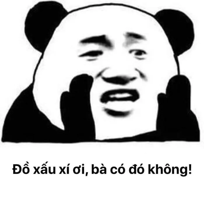 meme gấu trúc phản ứng nhanh meme gấu trúc phản ứng nhanh