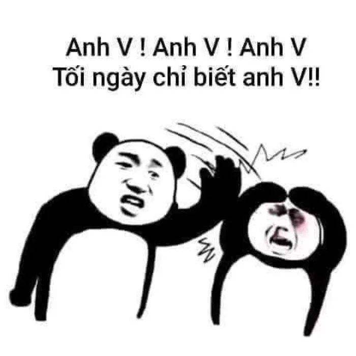 meme gấu trúc troll meme gấu trúc troll