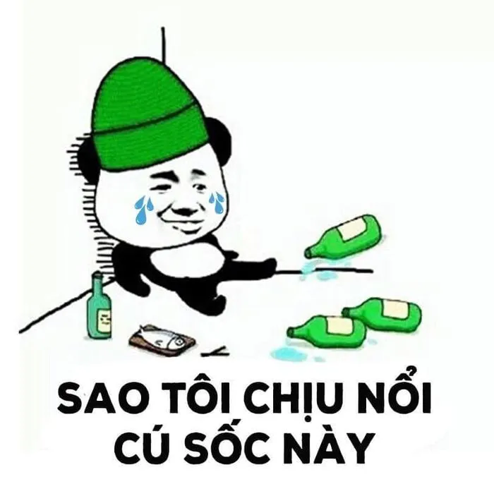 meme gấu trúc vô tri meme gấu trúc vô tri