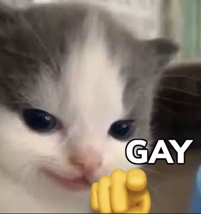 meme gay phản ứng ngáo