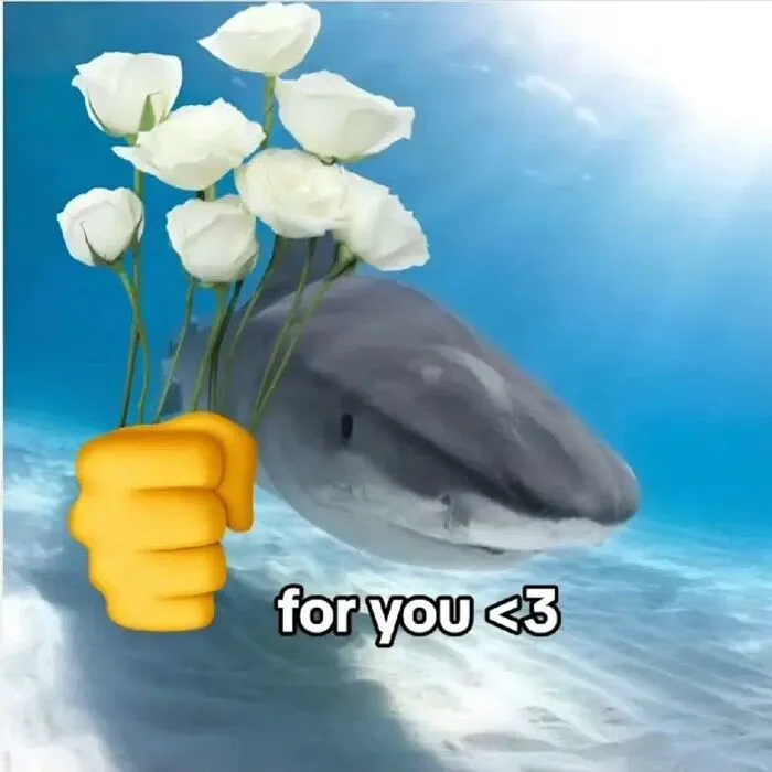 meme hài biểu cảm lạ
