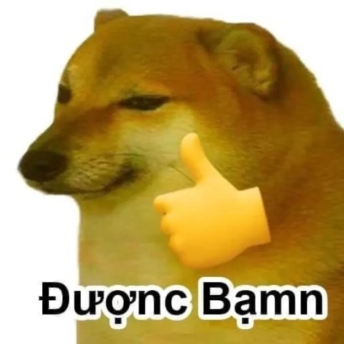 meme hài biểu cảm sốc