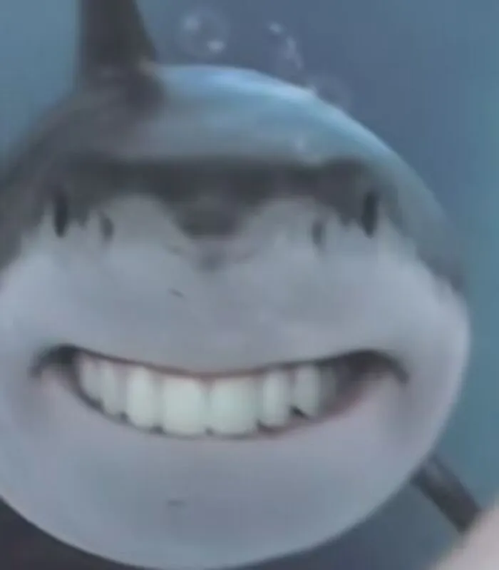 meme hài cười lăn lộn