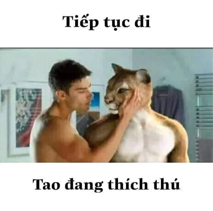 meme hài phản ứng bất lực