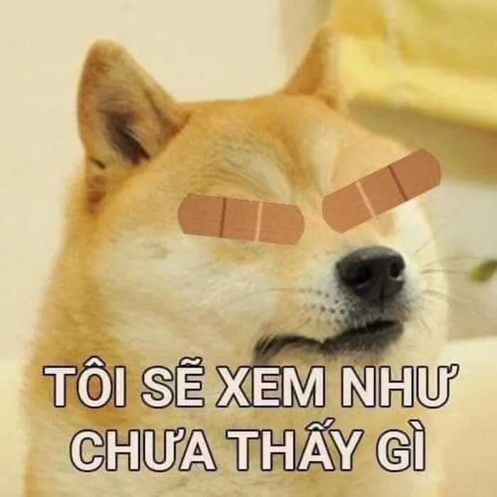 meme hài phản ứng hài
