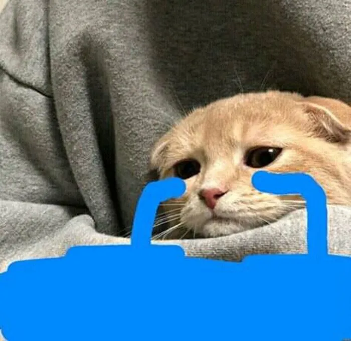 meme khóc ngồi im