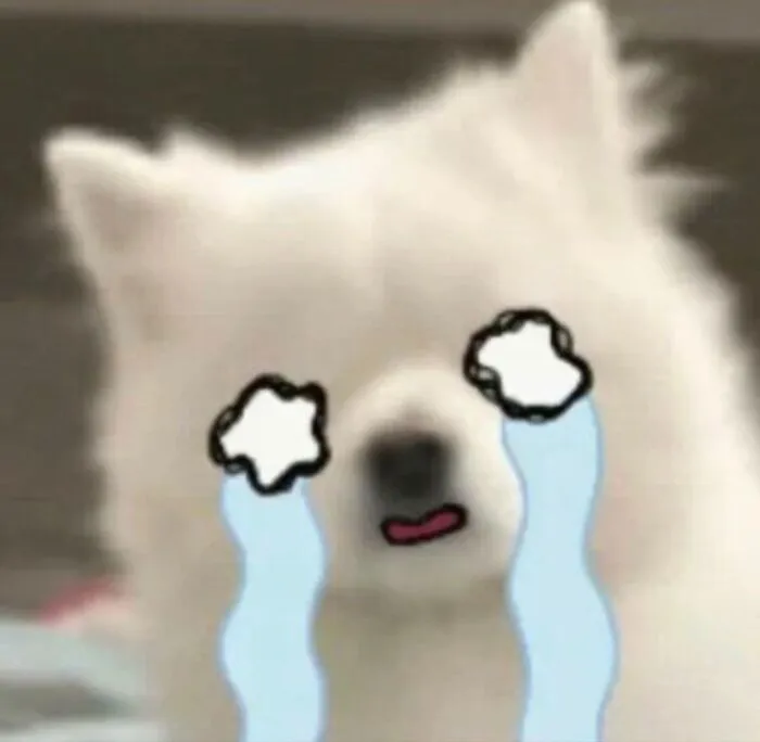 meme khóc phản ứng ngáo