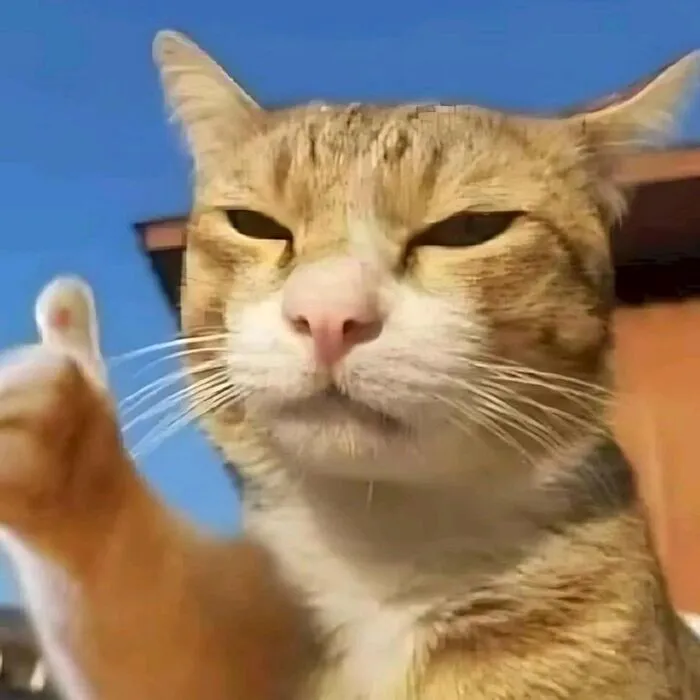 meme like biểu cảm hài