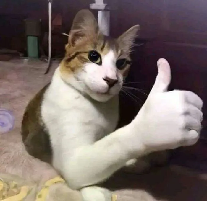meme like ngơ ngác