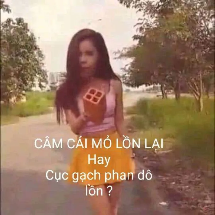 meme linda nhìn sang bên