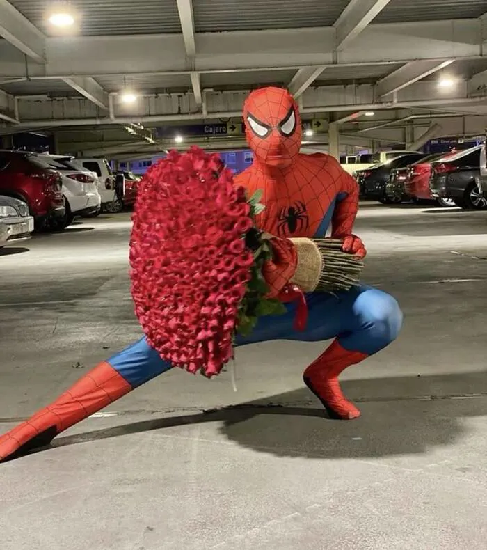 meme spiderman hài meme spiderman hài